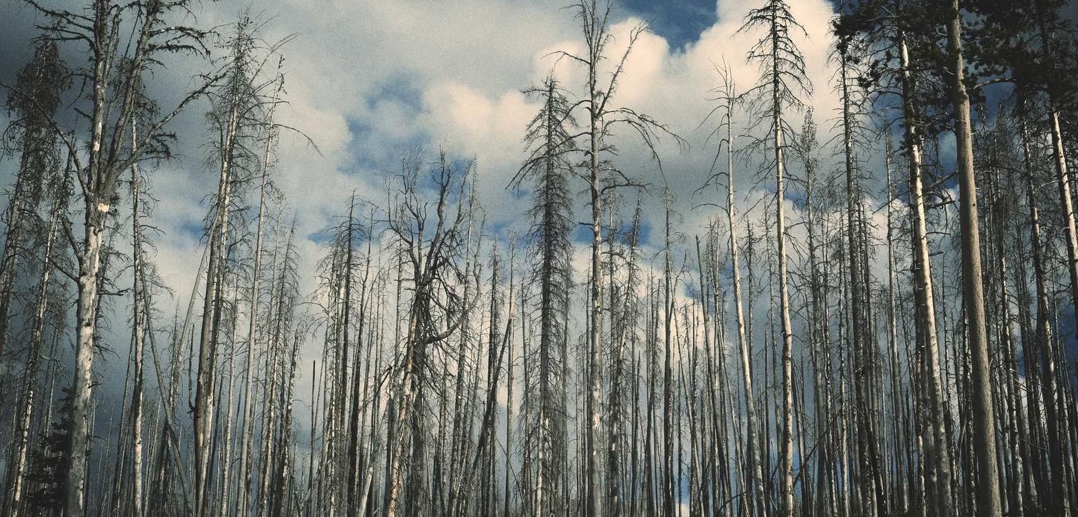 okx欧易实名账号：三百块app详情下载教程