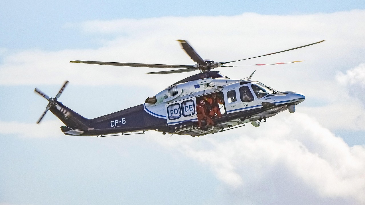 金平区网购买菜平台