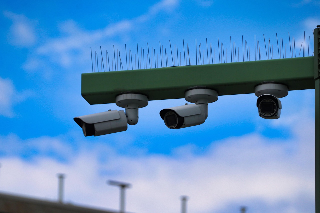 网才app详情下载教程