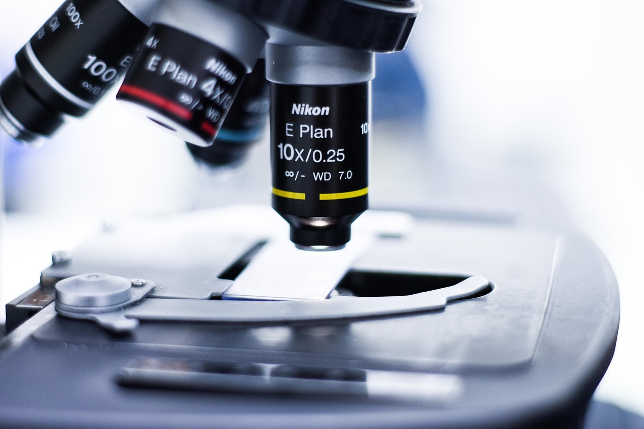 华夏修魔世界辅助- 应城代理记账网络平台