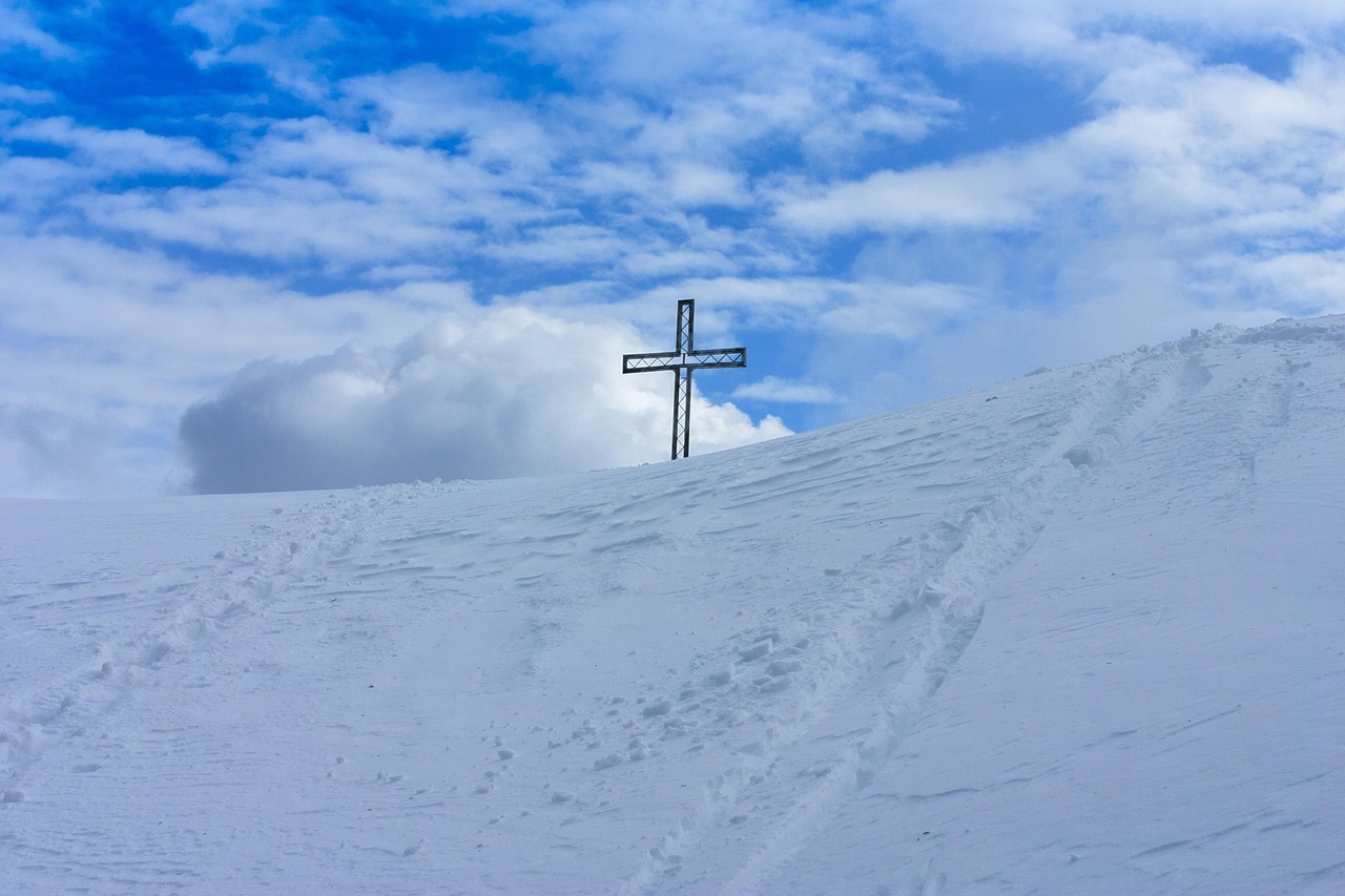 学生卡实名账号：淘宝代理货源平台