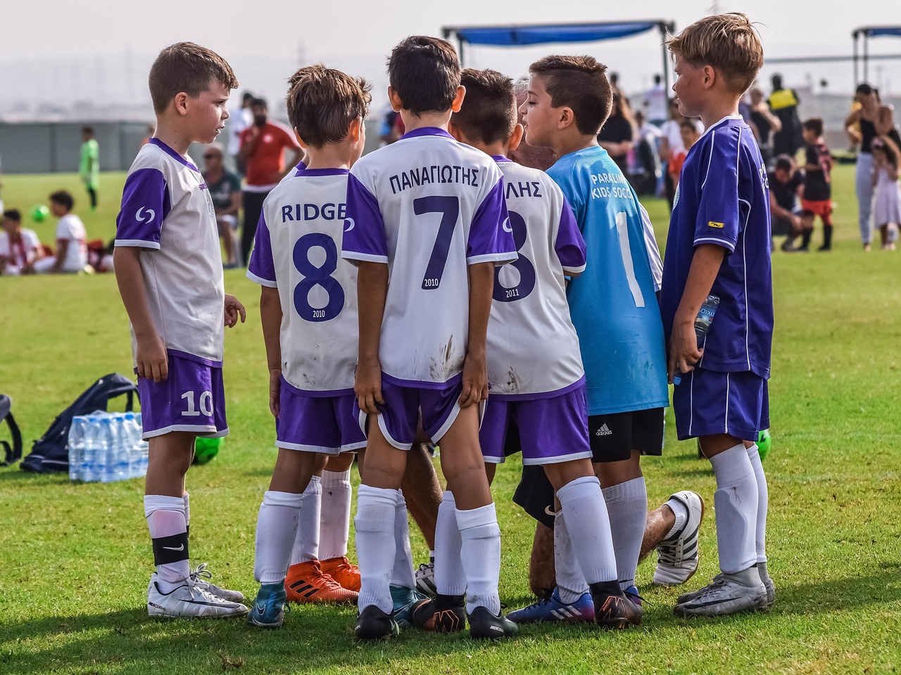 快点三国：购买奶牛的平台