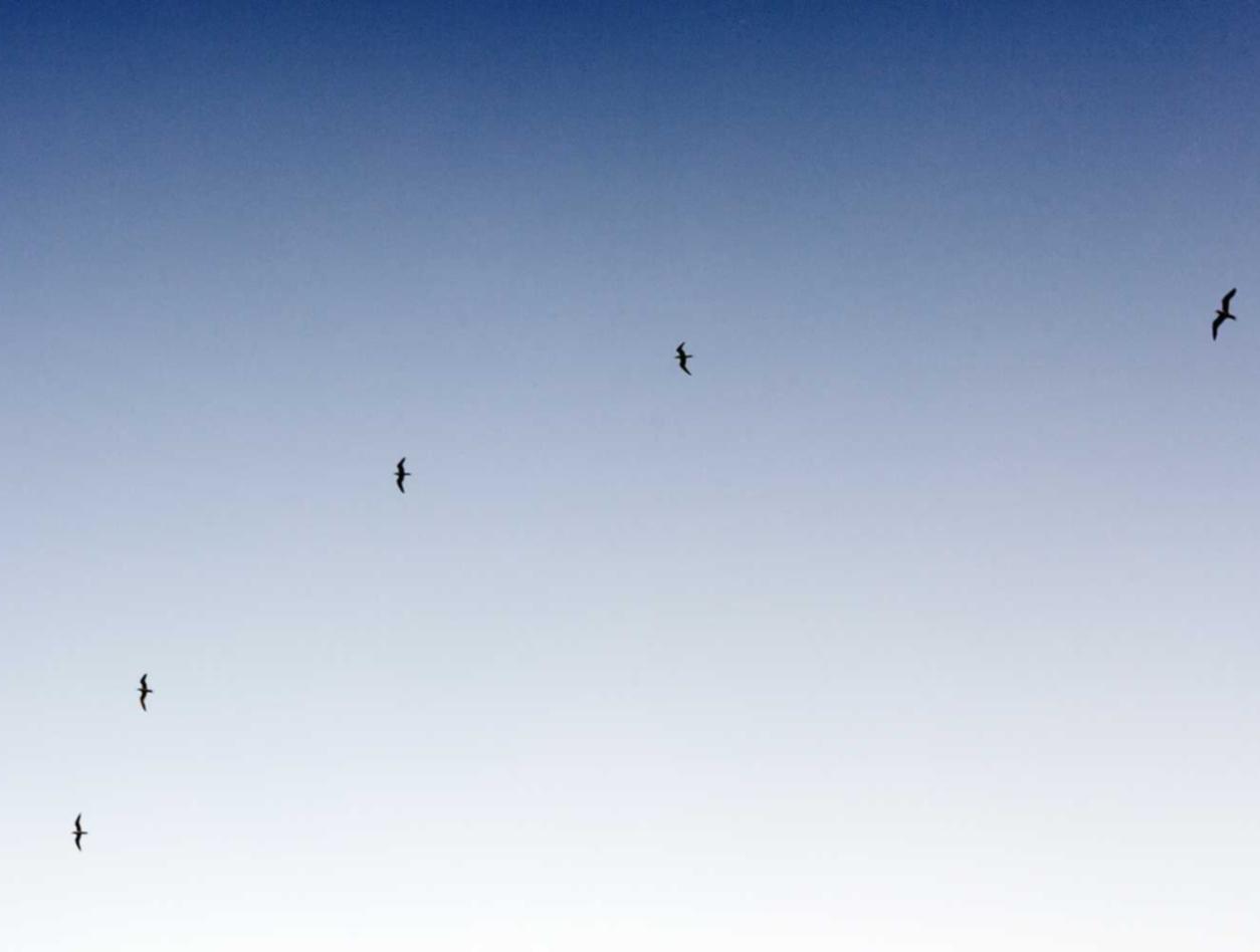 网贷分销代理平台