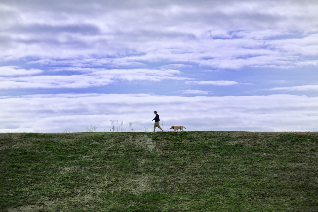 软件激活码购买平台